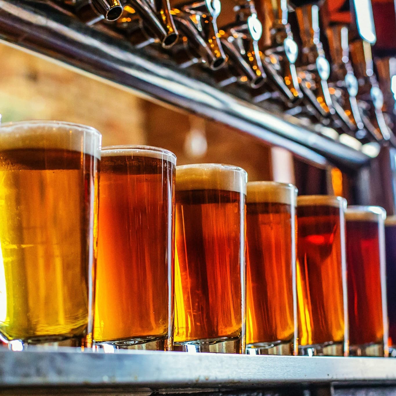 Bobarino's Happy Hour